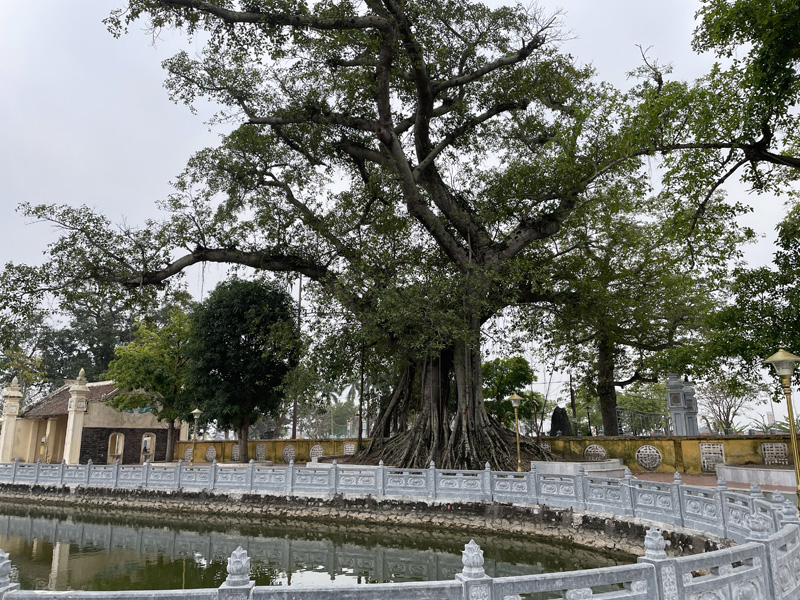 Chua Hanh Thien chua-hanh-thien